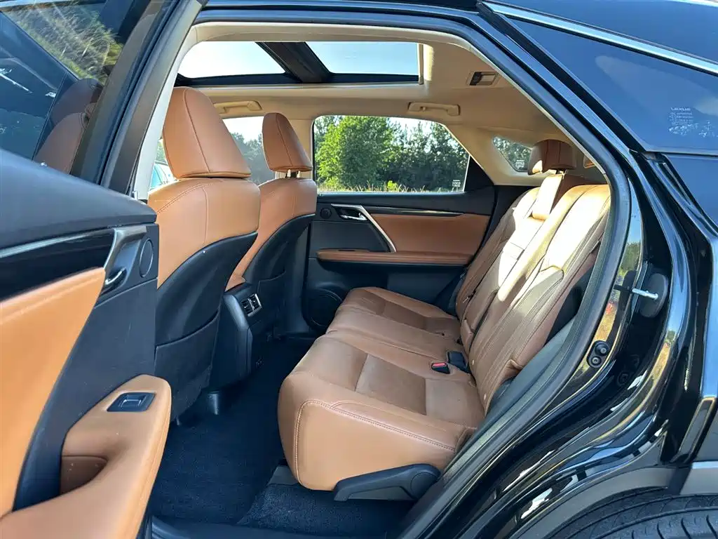 Lexus RX 2020 300 Elegant VI