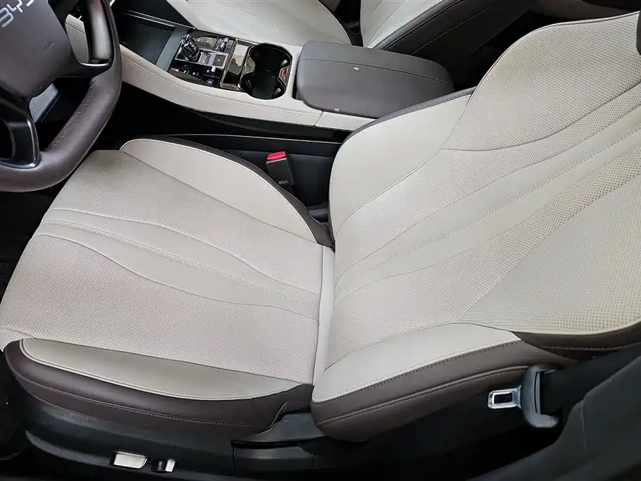 BYD SONGJIANG NEW ENERGY