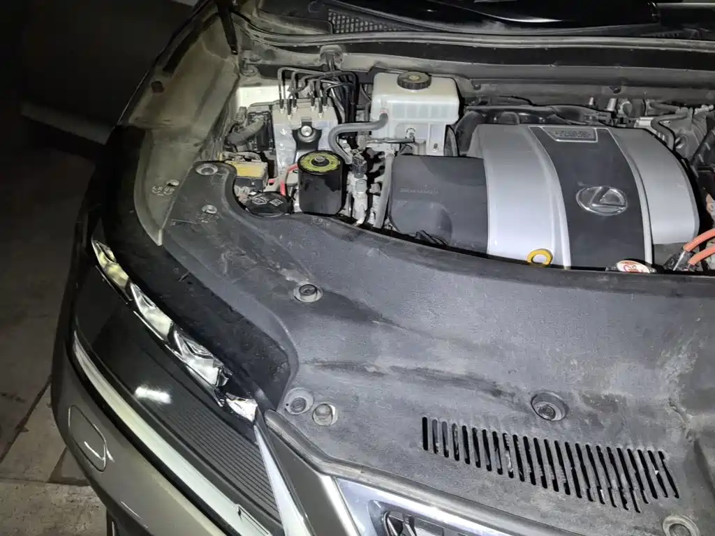 Lexus RX — миниатюра 19