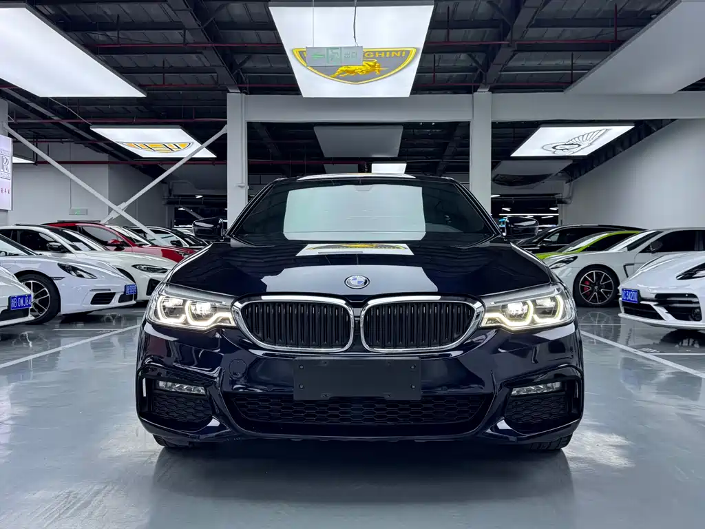 BMW 5 Series 5 2018 530Li Lead M Sport