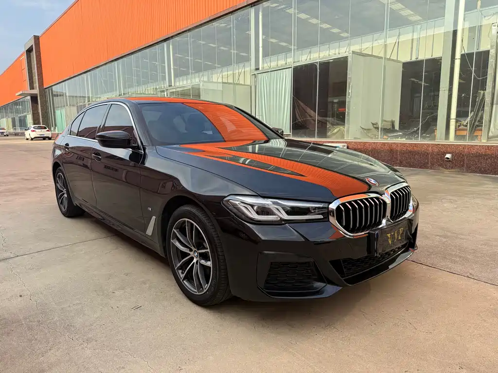 BMW 5 Series — миниатюра 3