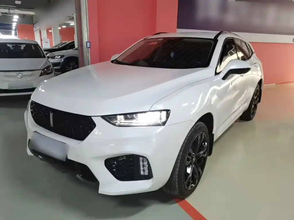 2018 Wey VV7 - zdjęcie 1 z 25