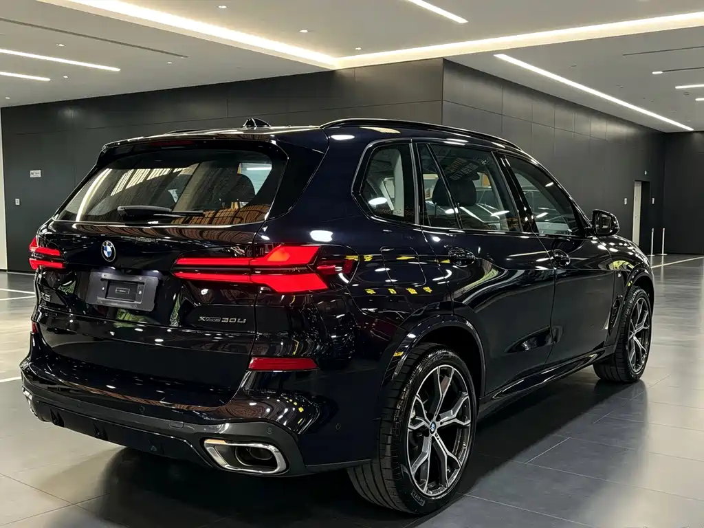 BMW X5 — миниатюра 5