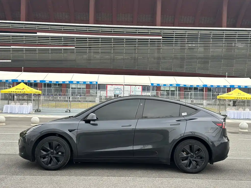 Tesla Model Y — миниатюра 2