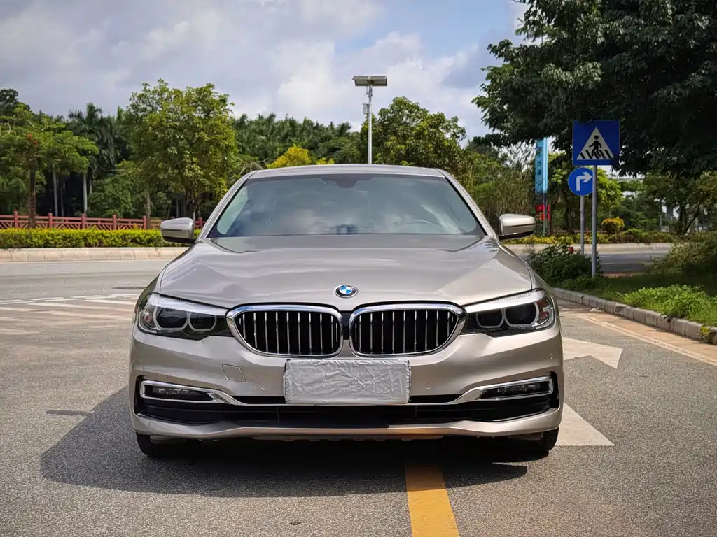BMW 5 Series 5 2019 530Li Lead Luxury