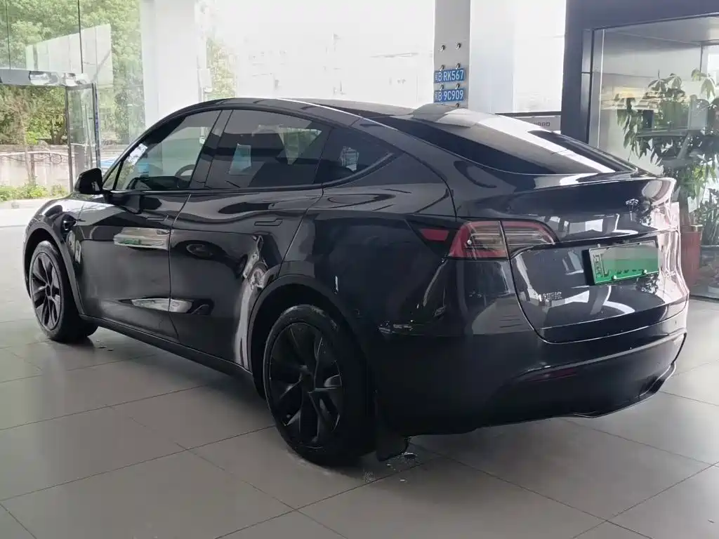 Tesla Model Y — миниатюра 4