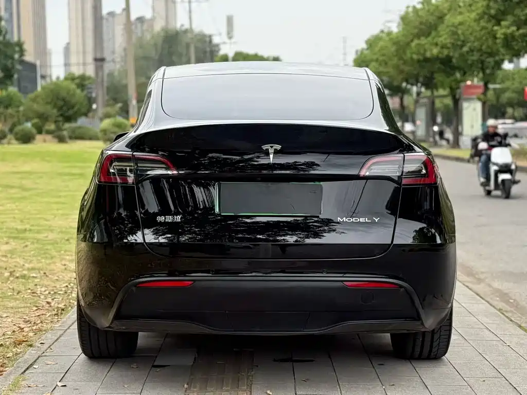 Tesla Model Y — миниатюра 8