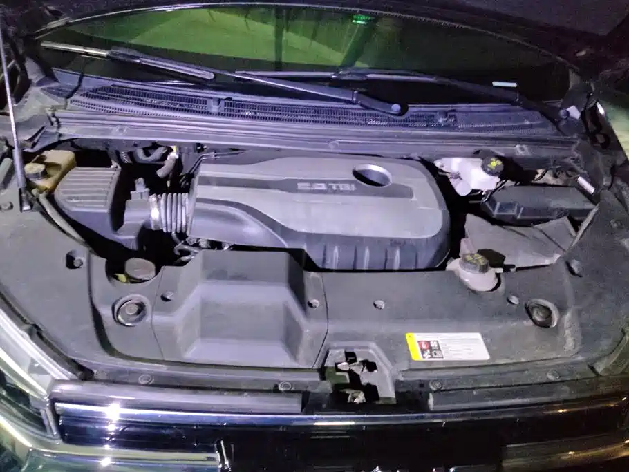 SAIC MAXUS CHASE G20