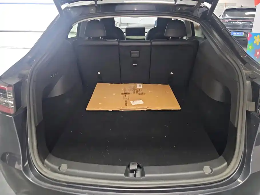Tesla Model Y — миниатюра 4