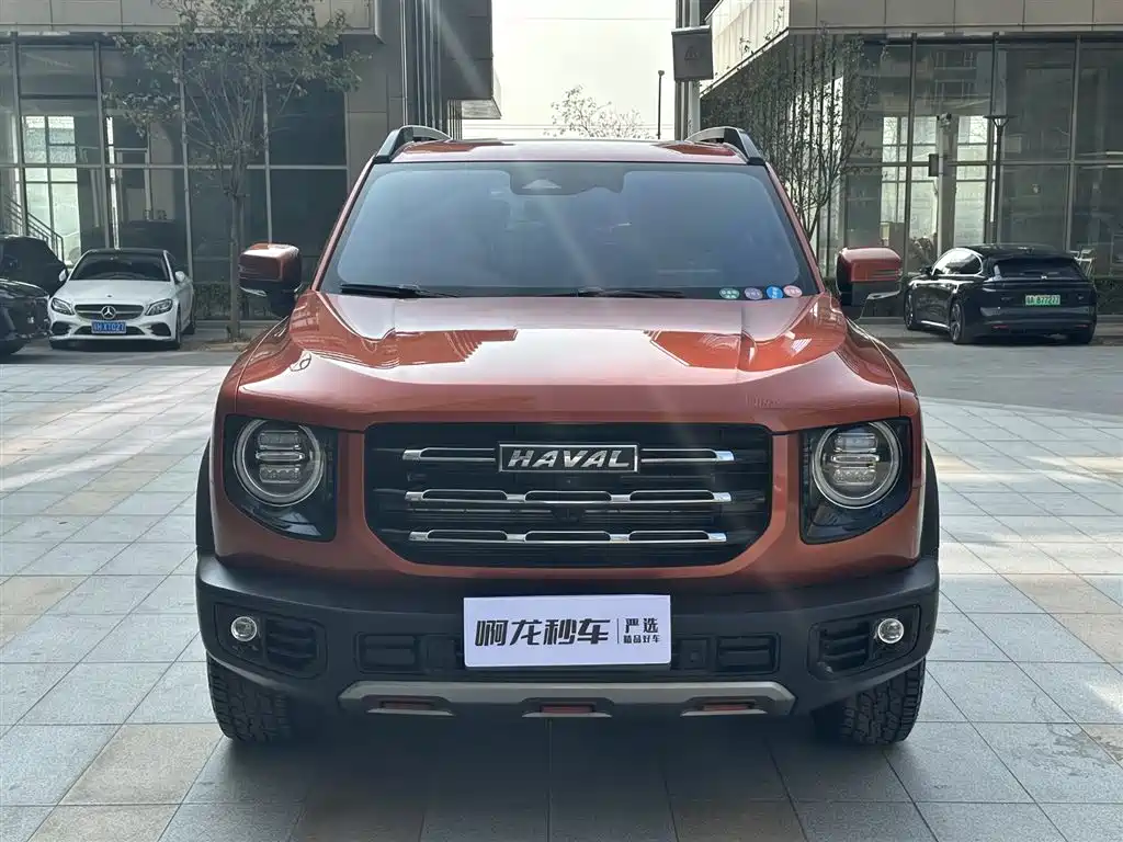 HAVAL BIG DOG