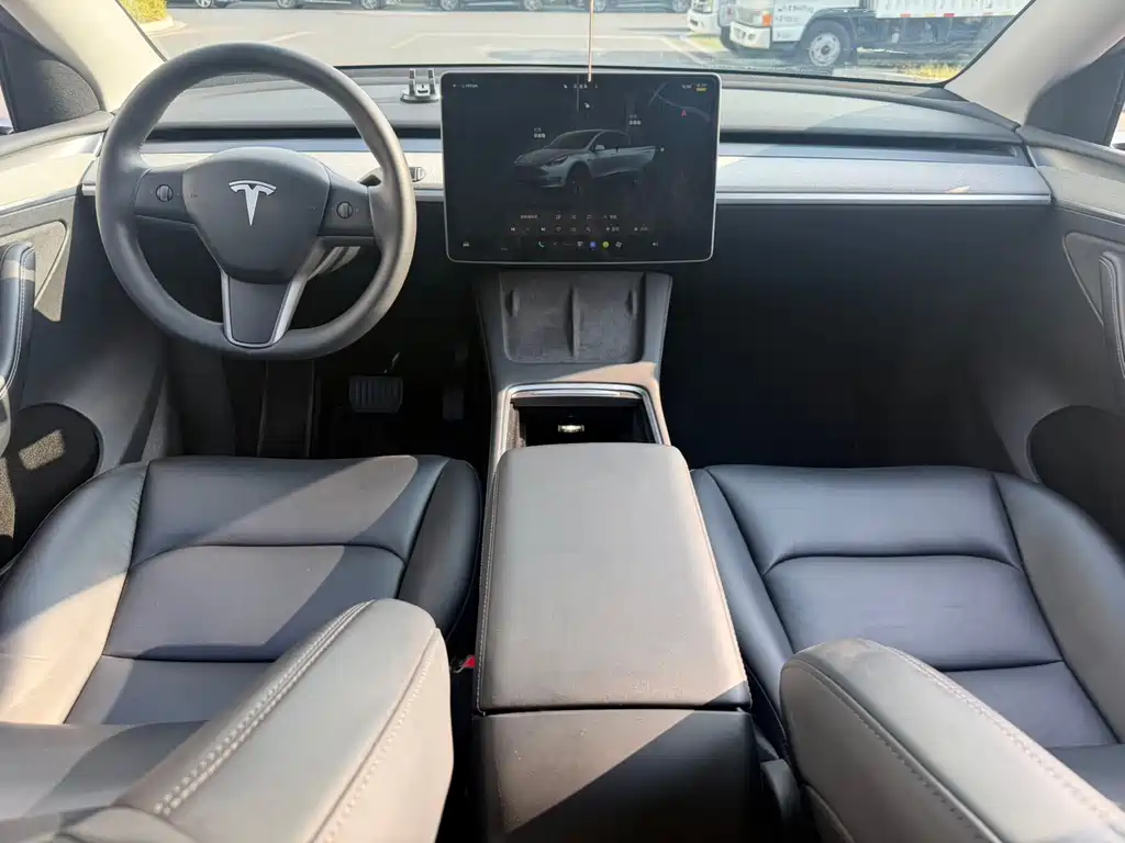 Tesla Model Y — миниатюра 14
