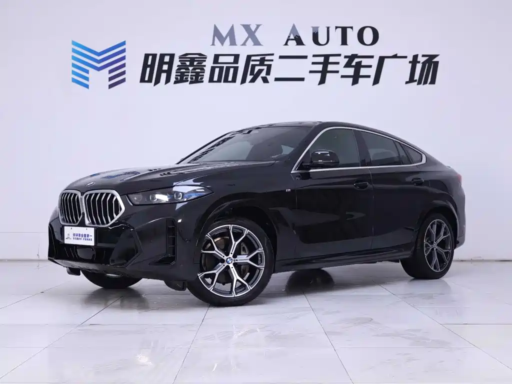 BMW X6 — миниатюра 2