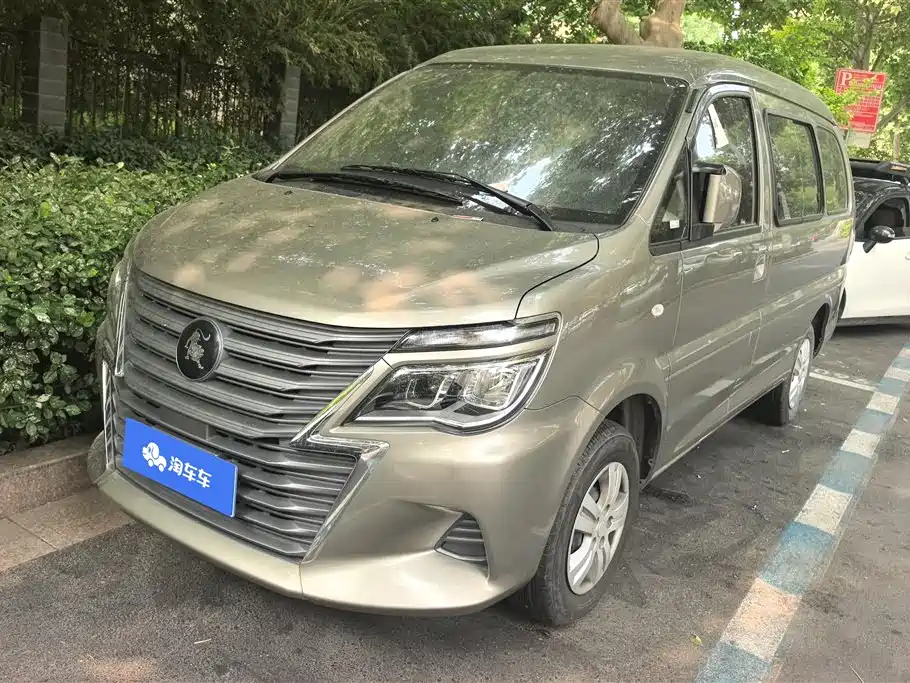 Fengxing Lingzhi 2024