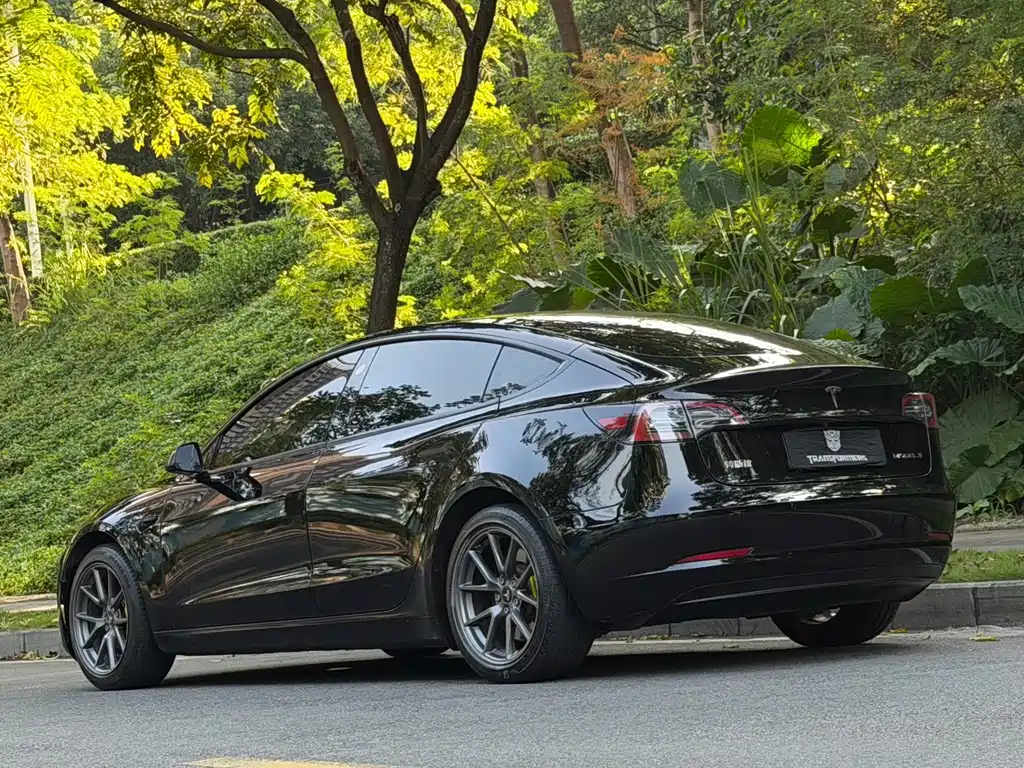 Tesla Model 3 — миниатюра 4