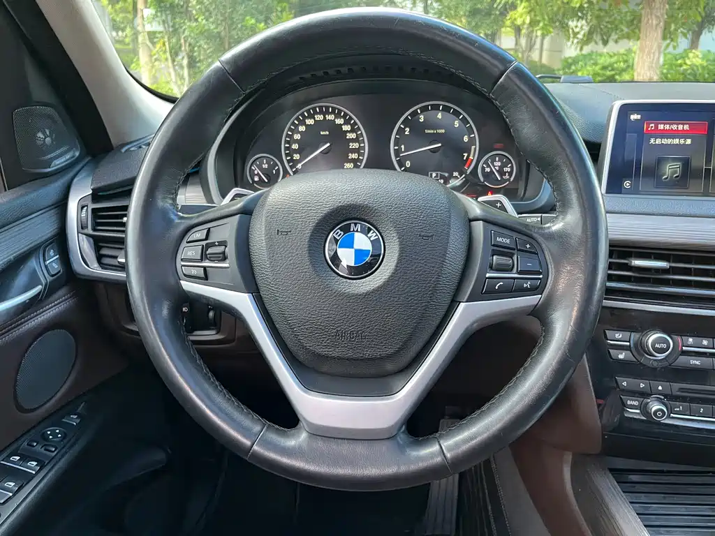 BMW X5 (Import) — миниатюра 10