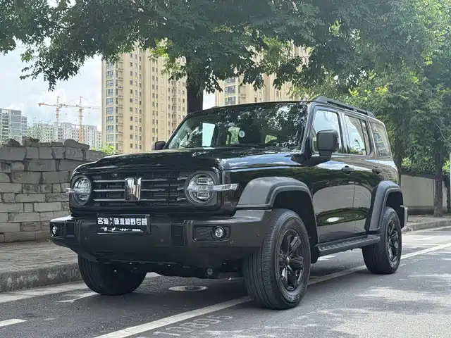 2025 TANK 300