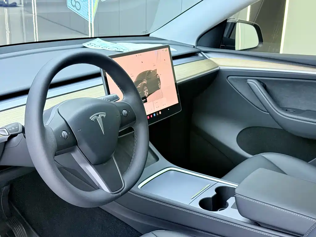 Tesla Model Y — миниатюра 5