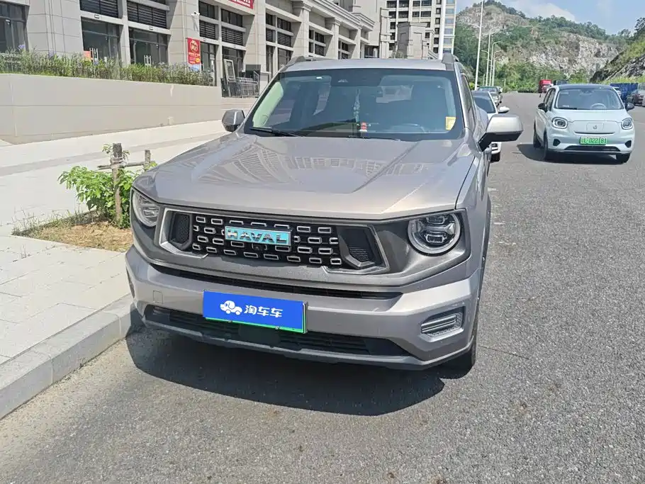 Haval Big Dog PLUS New Energy — миниатюра 2
