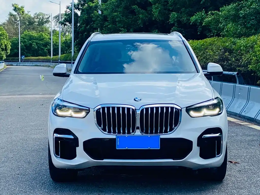 BMW X5 — миниатюра 2