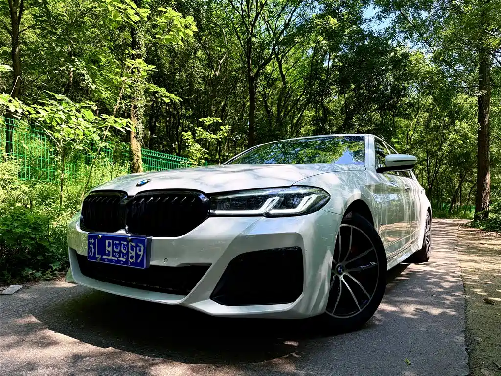 BMW 5 Series 5 2018 525Li M Sport