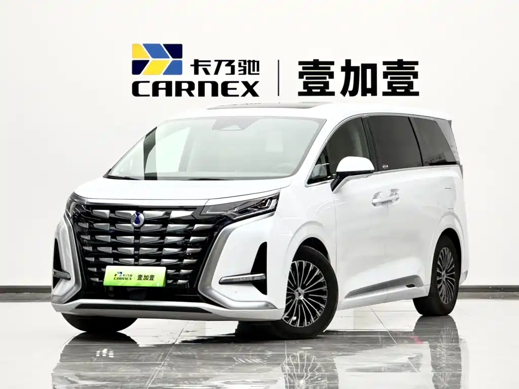 2023 Denza D9 - zdjęcie 1 z 22