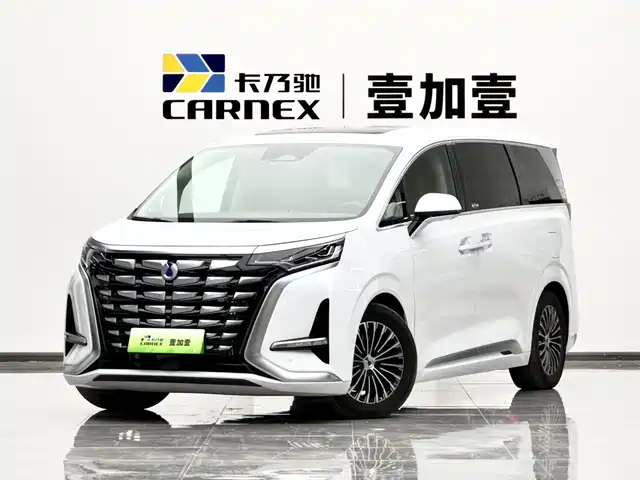 2023 Denza D9