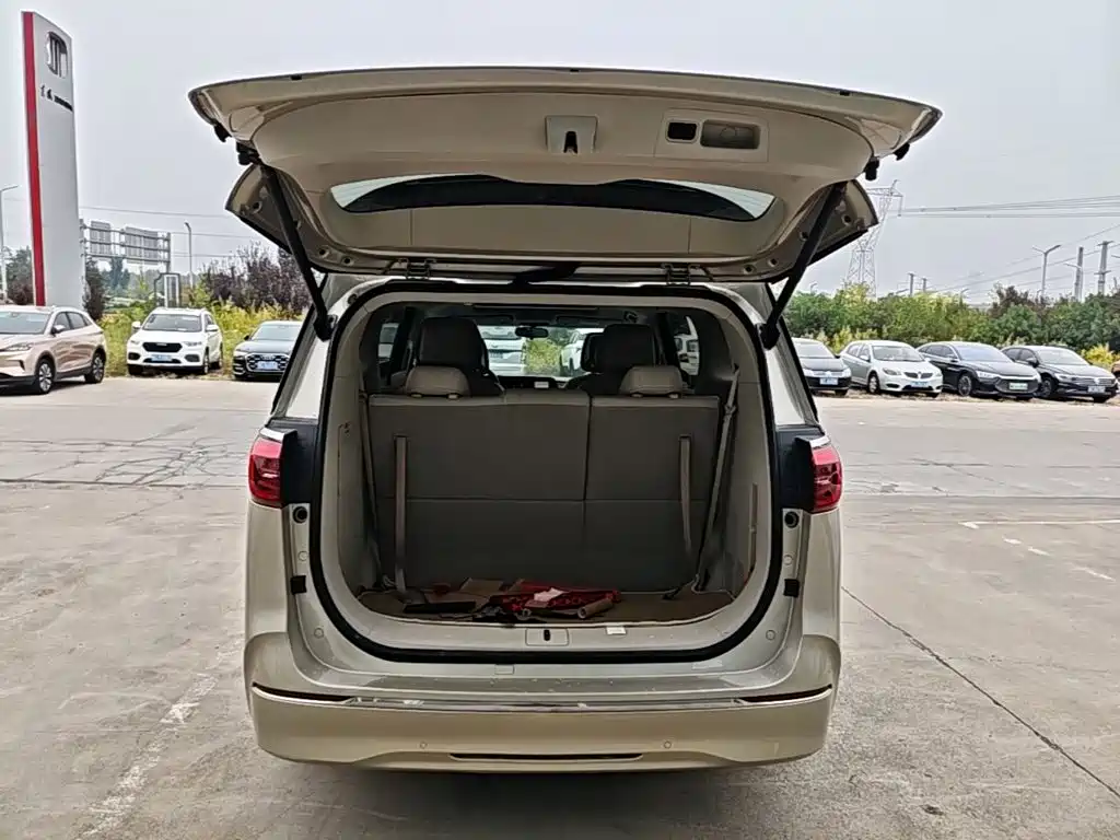 Buick GL8 — миниатюра 19