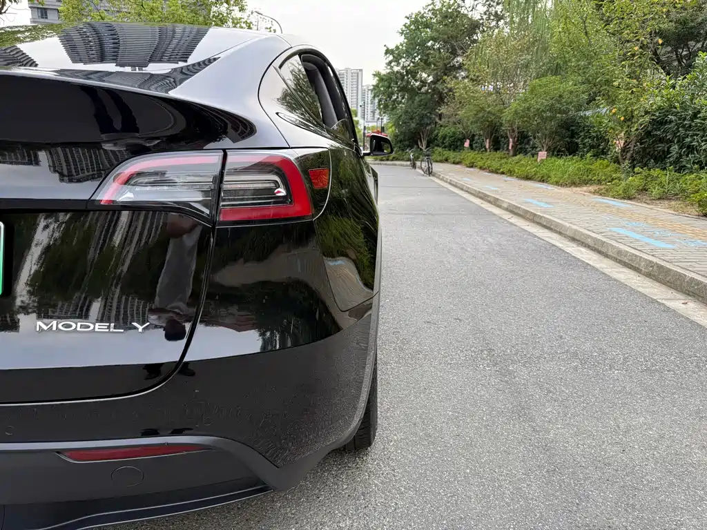Tesla Model Y — миниатюра 9