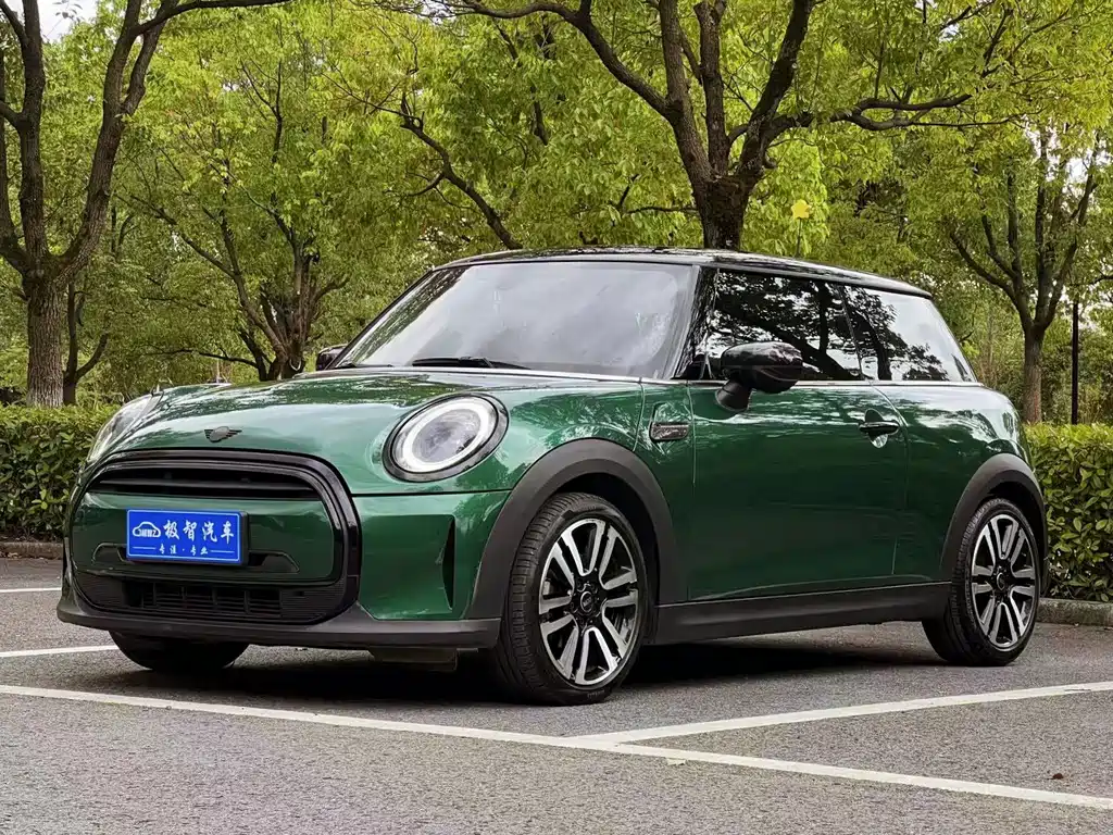 Mini Mini 2021