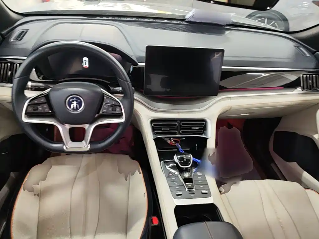 BYD PLUS New Energy — миниатюра 10