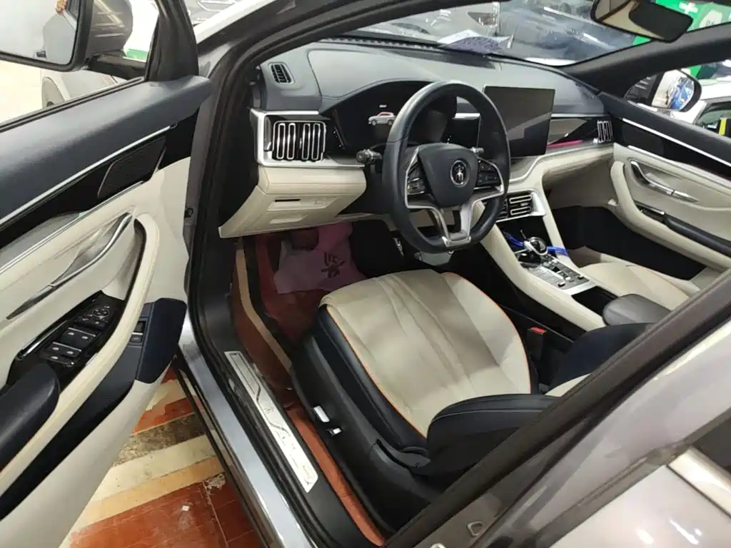 BYD PLUS New Energy — миниатюра 16