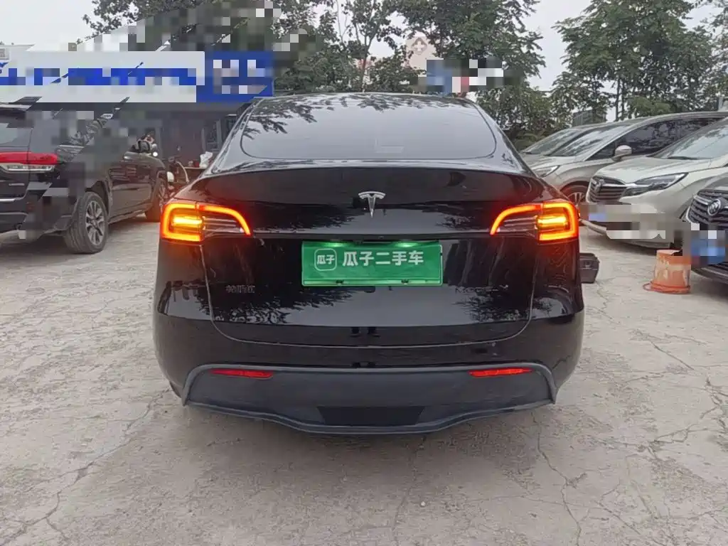 Tesla Model Y — миниатюра 6