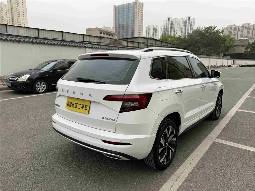 Skoda Karoq - фото 15