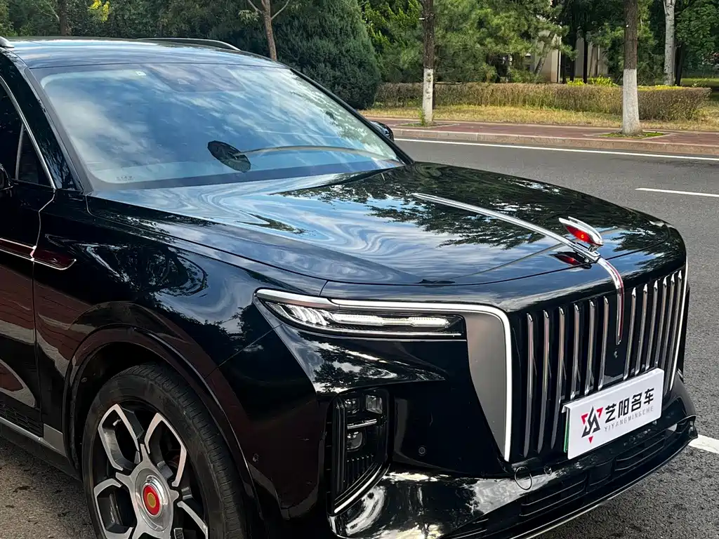 Hongqi Hongqi E-HS9 — миниатюра 4