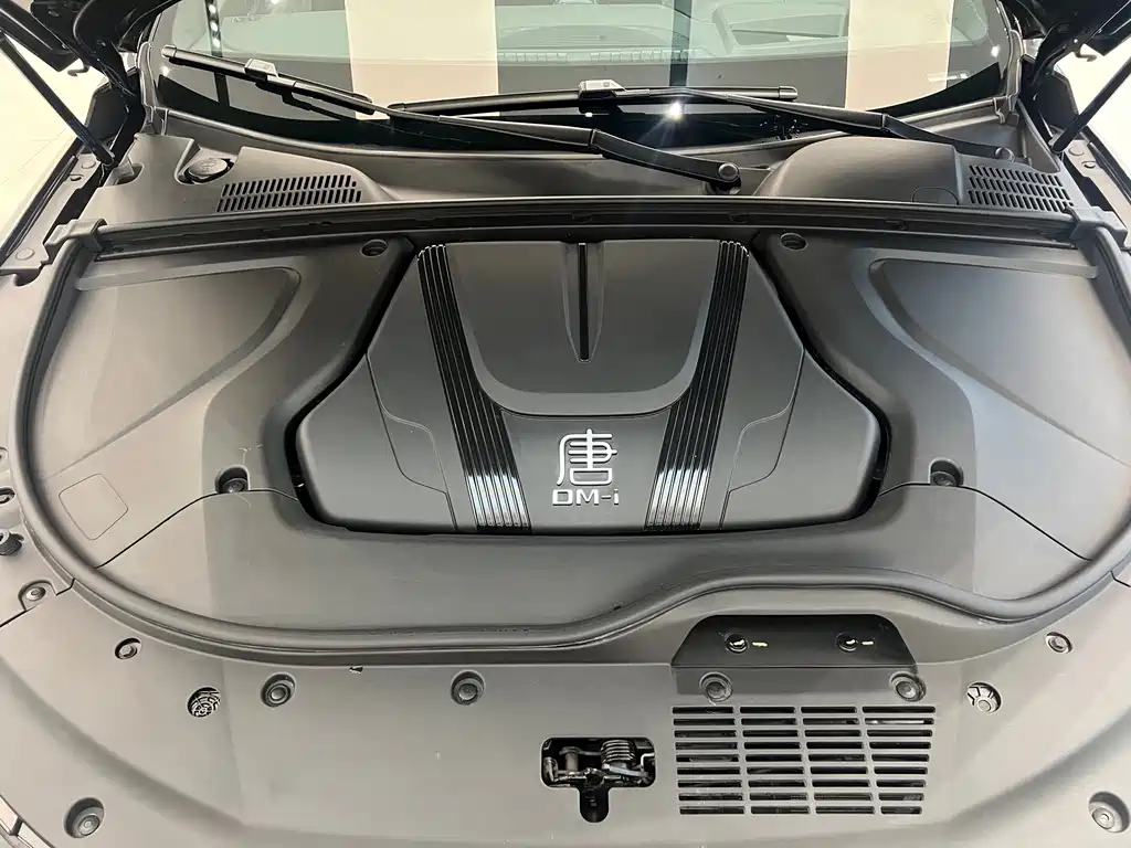 BYD Tang New Energy — миниатюра 15