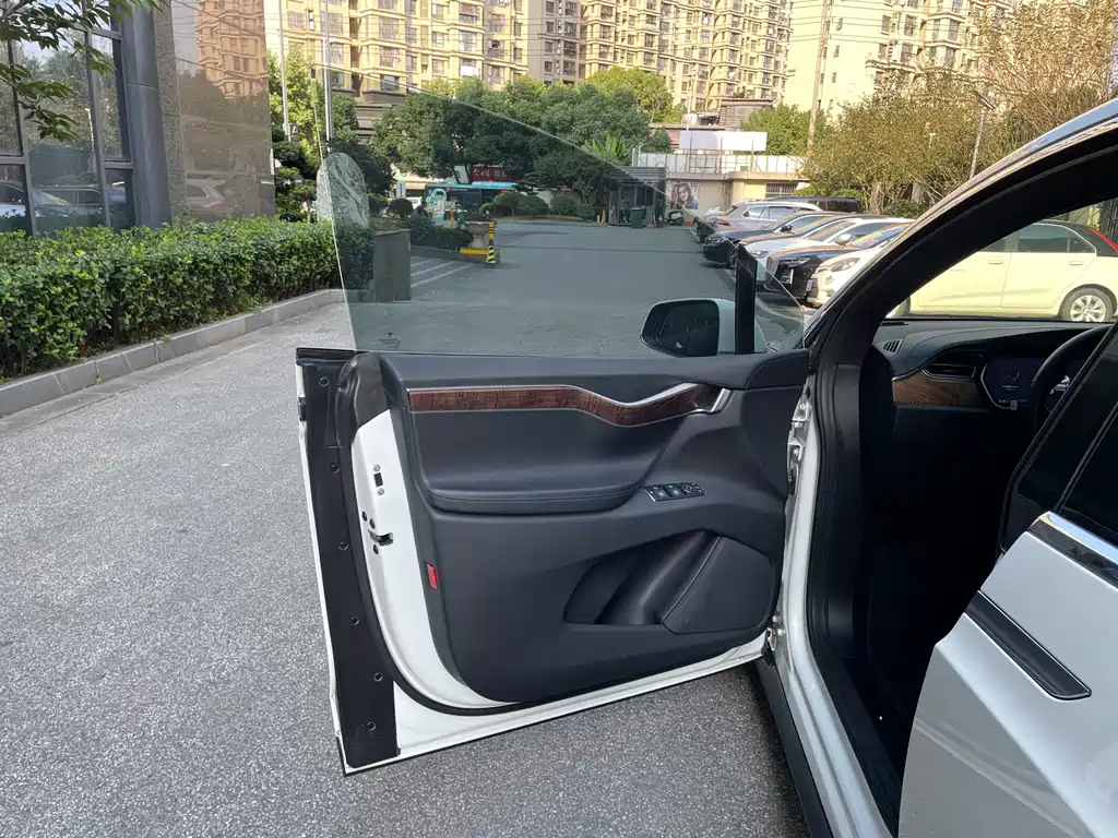 Tesla Model X — миниатюра 10