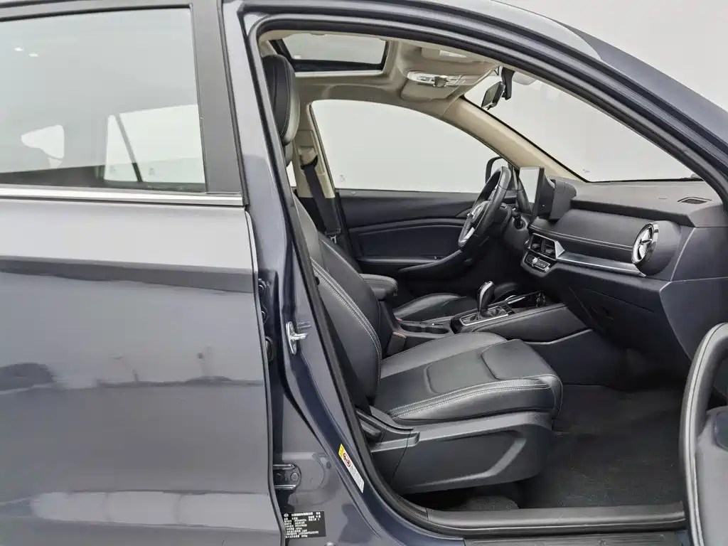 BYD Song — миниатюра 23