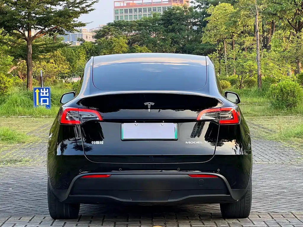 Tesla Model Y — миниатюра 5