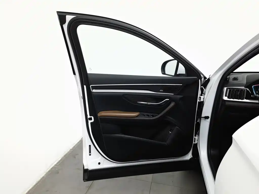 BYD PLUS — миниатюра 8