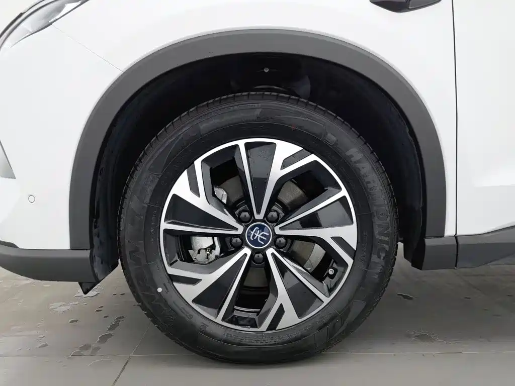 BYD Pro New Energy — миниатюра 17