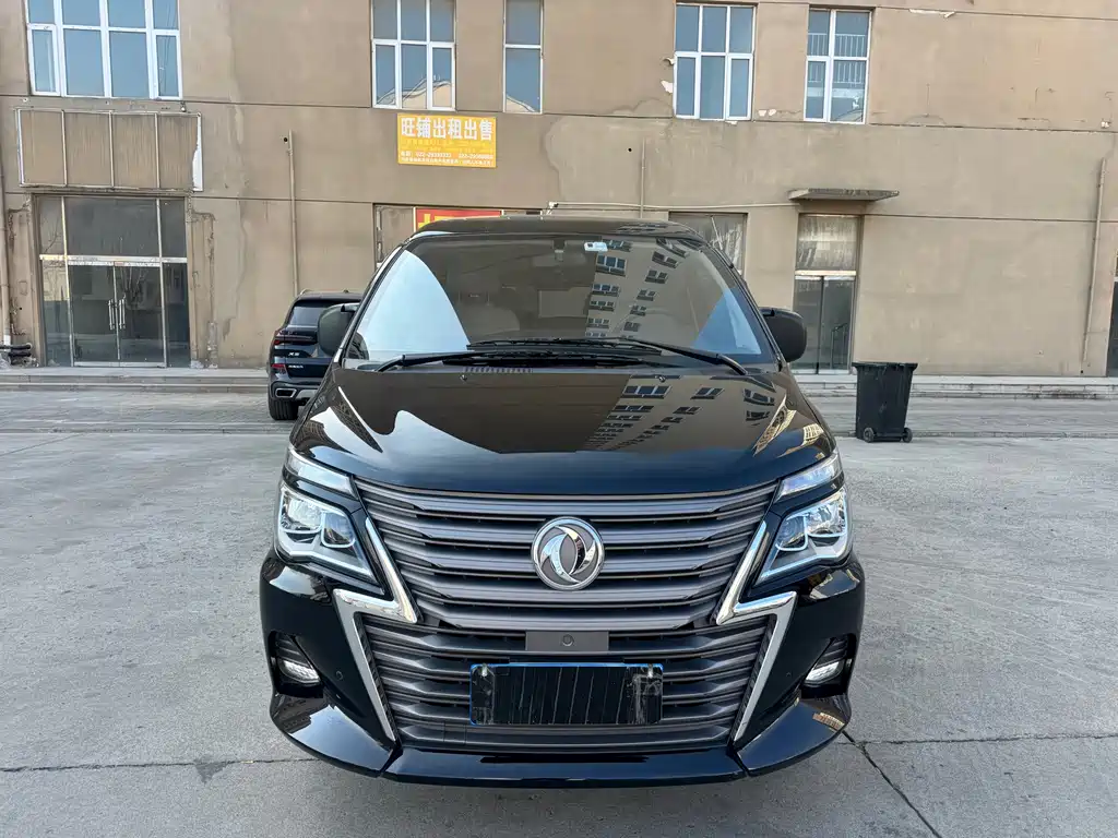 DONGFENG LINGZHI