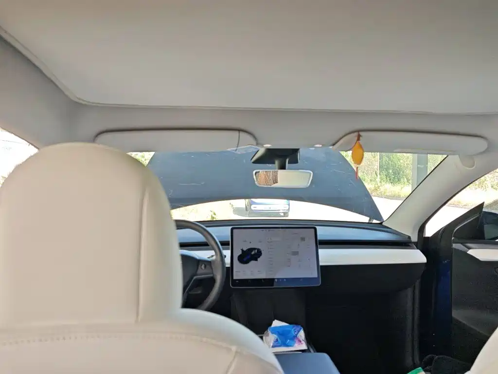 Tesla Model Y — миниатюра 19