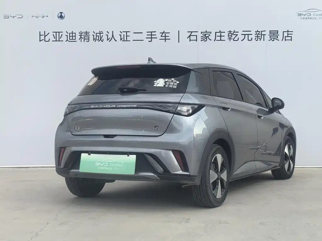 BYD Dolphin 2023 420km Fashion