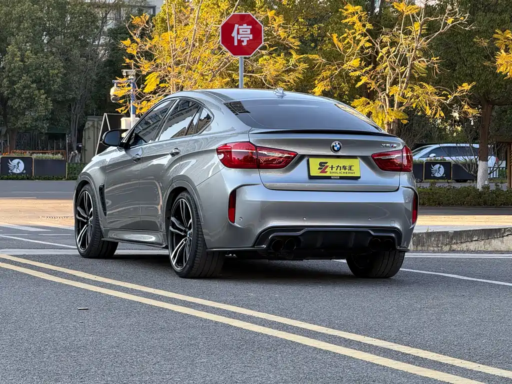 BMW X6 M
