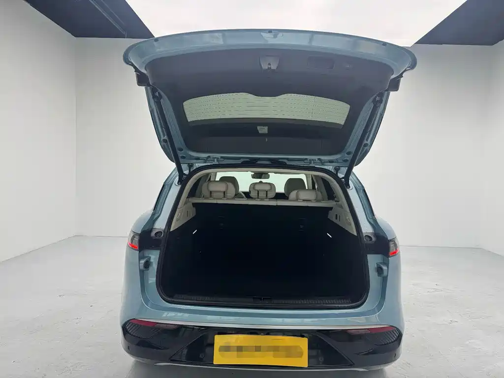 Voyah Free 2021 Luxury