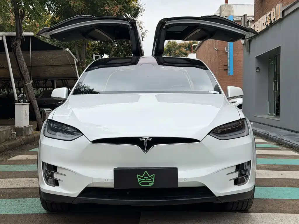 Tesla Model X — миниатюра 7