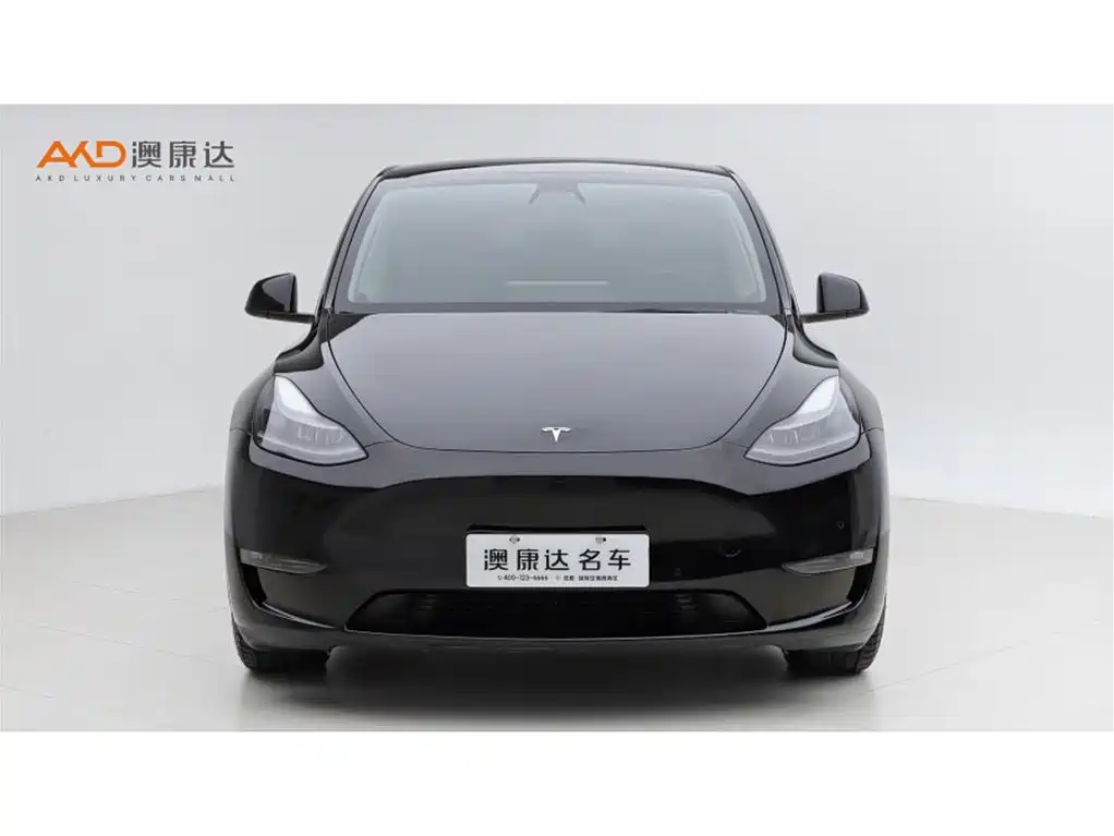 Tesla Model Y — миниатюра 2
