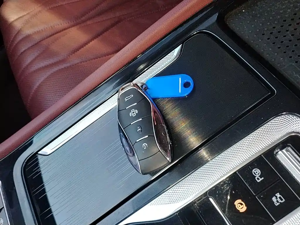 Hongqi H5 2024 2.0T AT