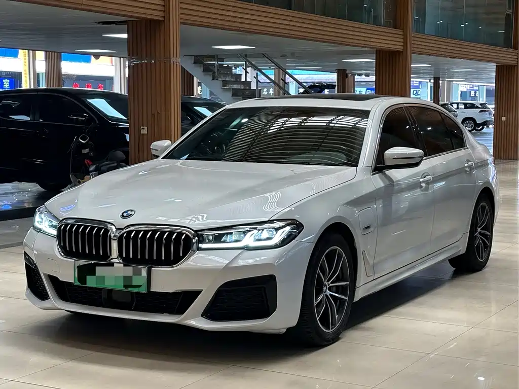 BMW 5 Series New Energy 2022