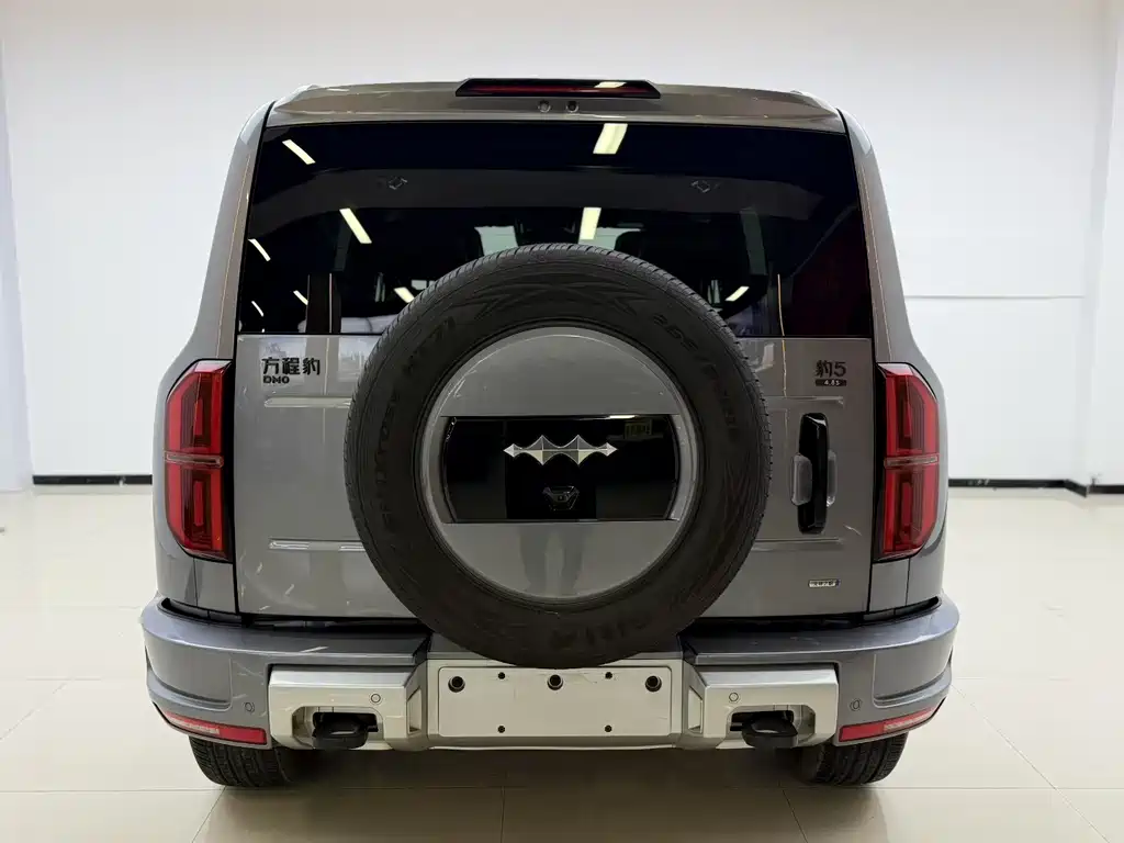 FANG CHENG BAO LEOPARD 5